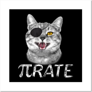 Pi Day Math Science Cat Pirate Posters and Art